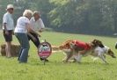 Image 24 in BSFA  APRIL 2011   PEOPLE AND THEIR DOGS