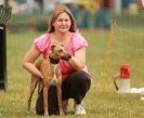 Image 10 in 40TH ANNIV. OF EAST ANGLIAN WHIPPET CLUB