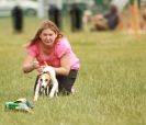 Image 11 in 40TH ANNIV. OF EAST ANGLIAN WHIPPET CLUB