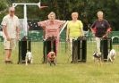 Image 2 in 40TH ANNIV. OF EAST ANGLIAN WHIPPET CLUB
