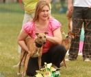 Image 9 in 40TH ANNIV. OF EAST ANGLIAN WHIPPET CLUB