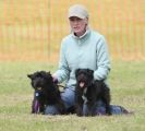 Image 20 in POACHERS REST. WHIPPET TERRIER AND LURCHER RACING 20 JUNE 2010