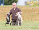 Image 29 in POACHERS REST. WHIPPET TERRIER AND LURCHER RACING 20 JUNE 2010