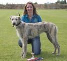 Image 78 in POACHERS REST. WHIPPET TERRIER AND LURCHER RACING 20 JUNE 2010