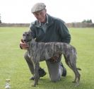 Image 81 in POACHERS REST. WHIPPET TERRIER AND LURCHER RACING 20 JUNE 2010