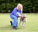 Image 82 in POACHERS REST. WHIPPET TERRIER AND LURCHER RACING 20 JUNE 2010