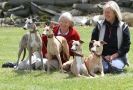 Image 83 in POACHERS REST. WHIPPET TERRIER AND LURCHER RACING 20 JUNE 2010