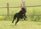 Image 20 in SUSSEX LONGDOGS 13 JUNE 2010