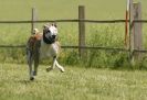 Image 27 in SUSSEX LONGDOGS 13 JUNE 2010