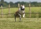 Image 40 in SUSSEX LONGDOGS 13 JUNE 2010