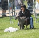 Image 19 in LURCHERS AT BURGHLEY 30 MAY 2010