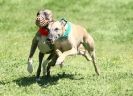 SUSSEX LONGDOGS  23 MAY 2010