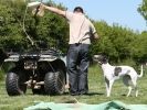 Image 31 in SUSSEX LONGDOGS 23 MAY 2010