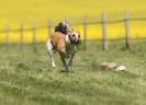 Image 39 in SUSSEX LONGDOGS 23 MAY 2010