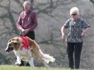 Image 26 in BSFA.  LURE COURSING APRIL 2010