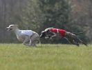 Image 30 in BSFA.  LURE COURSING APRIL 2010