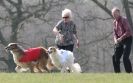 Image 38 in BSFA.  LURE COURSING APRIL 2010