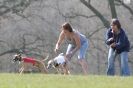 Image 42 in BSFA.  LURE COURSING APRIL 2010