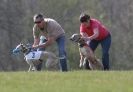 Image 47 in BSFA.  LURE COURSING APRIL 2010