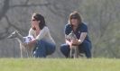 Image 52 in BSFA.  LURE COURSING APRIL 2010