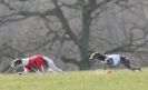 Image 54 in BSFA.  LURE COURSING APRIL 2010