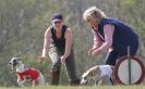 Image 56 in BSFA.  LURE COURSING APRIL 2010