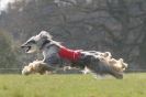 Image 64 in BSFA.  LURE COURSING APRIL 2010