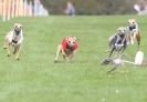 Image 8 in NPWRA CHAMPIONSHIPS APRIL 2010