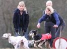 Image 38 in LARGER SIGHTHOUNDS AT BSFA MARCH 2010