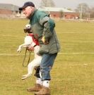 Image 14 in WHIPPET RACING NEWMARKET 14 MARCH 2010