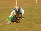 Image 35 in WHIPPET RACING NEWMARKET 14 MARCH 2010