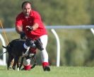 Image 4 in KIMBERLEY AND WYMONDHAM GREYHOUND CLUB. LURE COURSING. FAKENHAM SEPT. 2009