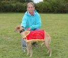 WHIPPET RACING. ANDOVER OPEN SEPT.2009