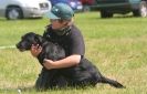 Image 10 in GLEMHAM HALL COUNTRY FAIR JUNE 2009   ( GUNDOGS )