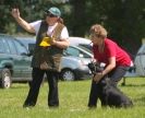 Image 22 in GLEMHAM HALL COUNTRY FAIR JUNE 2009   ( GUNDOGS )