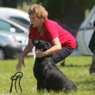 Image 23 in GLEMHAM HALL COUNTRY FAIR JUNE 2009   ( GUNDOGS )