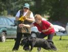 Image 24 in GLEMHAM HALL COUNTRY FAIR JUNE 2009   ( GUNDOGS )