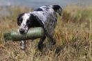 Image 34 in GLEMHAM HALL COUNTRY FAIR JUNE 2009   ( GUNDOGS )