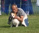 Image 46 in GLEMHAM HALL COUNTRY FAIR JUNE 2009   ( GUNDOGS )