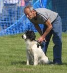 Image 50 in GLEMHAM HALL COUNTRY FAIR JUNE 2009 ( GUNDOGS )