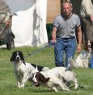 Image 51 in GLEMHAM HALL COUNTRY FAIR JUNE 2009 ( GUNDOGS )