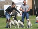 Image 52 in GLEMHAM HALL COUNTRY FAIR JUNE 2009   ( GUNDOGS )