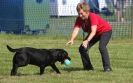 Image 55 in GLEMHAM HALL COUNTRY FAIR JUNE 2009   ( GUNDOGS )