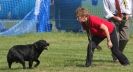 Image 57 in GLEMHAM HALL COUNTRY FAIR JUNE 2009 ( GUNDOGS )