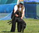 Image 59 in GLEMHAM HALL COUNTRY FAIR JUNE 2009   ( GUNDOGS )