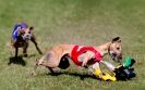 Image 49 in EAST ANGLIAN WHIPPET RACING CLUB. BLACK VELVET OPEN 2009