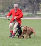 LURE COURSING AT HOLKHAM