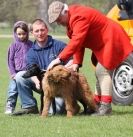 Image 18 in LURE COURSING AT HOLKHAM