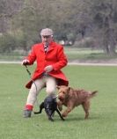 Image 2 in LURE COURSING AT HOLKHAM