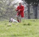 Image 30 in LURE COURSING AT HOLKHAM